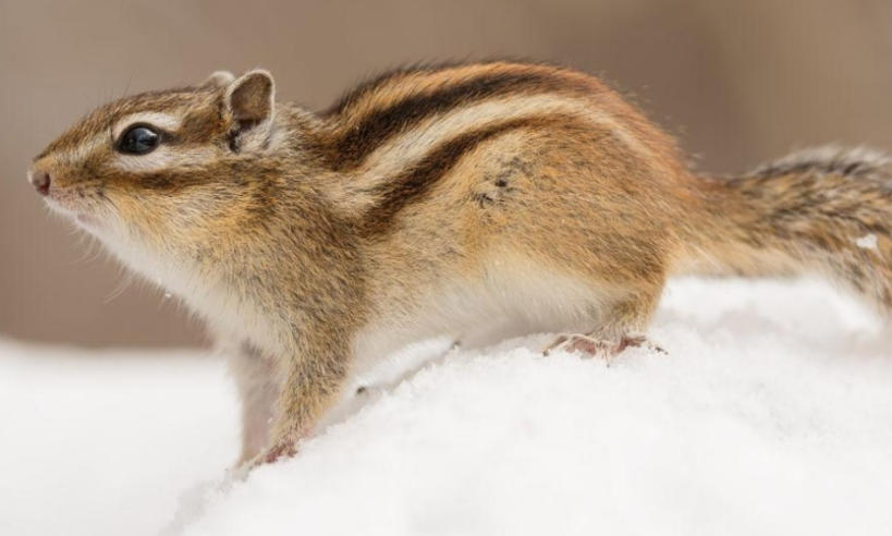 酒都电子手机有限公司轮播图1